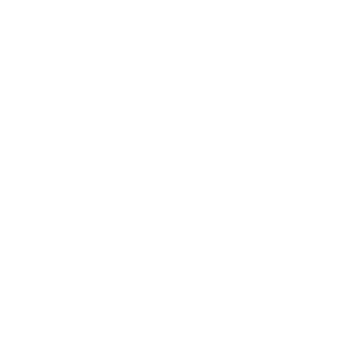 Wandbild Gunter Lenz Hibiskus Hikey