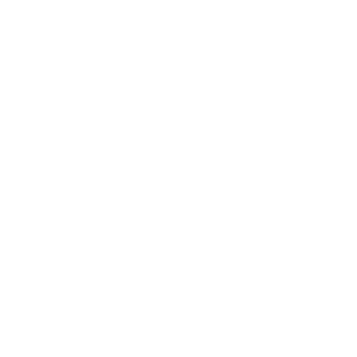 Papierflieger Druckshop
