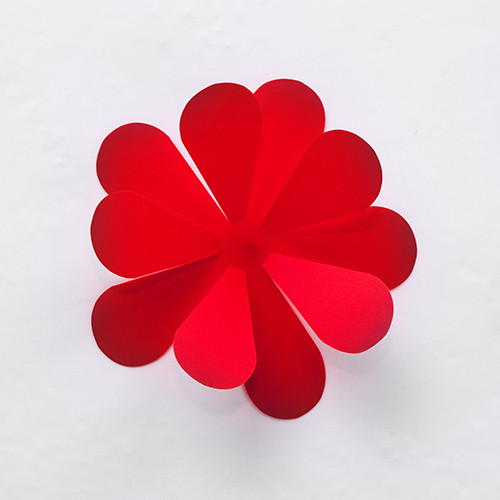 Home Wandtattoo Wandtattoo 3D Blumen rot Home Wandtattoo Wandtattoo 3D Blumen rot