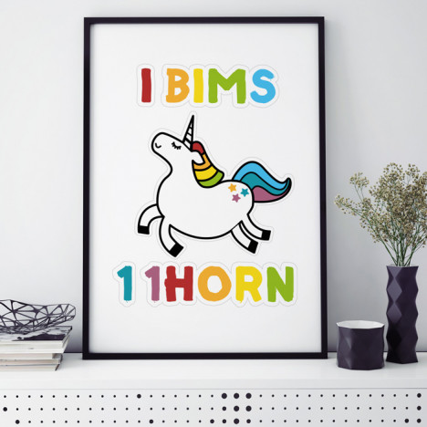 poster i bims 1 1horn