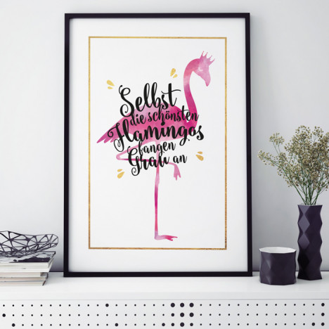 Poster Selbst die schönsten Flamingos fangen Grau an