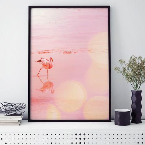 Poster Flamingo in Natur