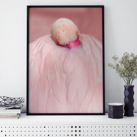 Poster Sleepy Flamingo