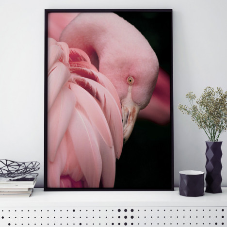 Poster Flamingo Roxi