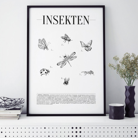 Poster Insekten