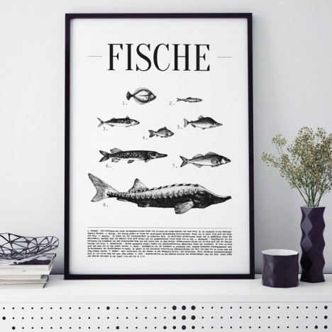 Poster Fische