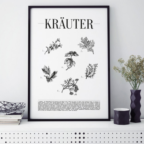 Poster Kräuter