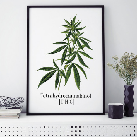 Poster Tetrahydrocannabinol [THC]