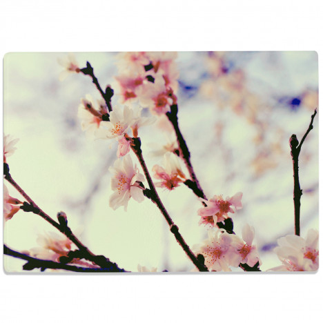 Glasschneidebrett Kirschblüten