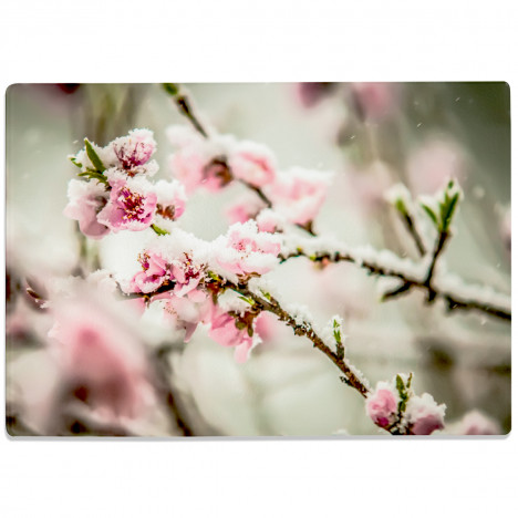 Glasschneidebrett Kirschblüten im Schnee