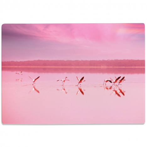 Glasschneidebrett Flamingos