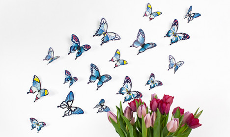 Wandtattoo 3D - Schmetterlinge - Blautöne