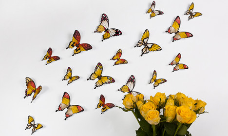 Wandtattoo 3D - Schmetterlinge - Gelbtöne