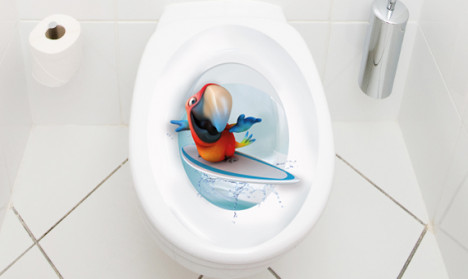 WC Aufkleber Papagei Surfer