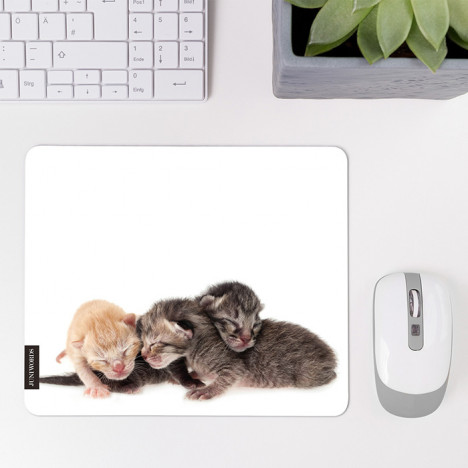 Mousepad Katzenbabys