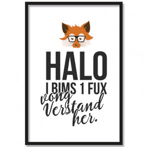 halo i bims 1 fux poster