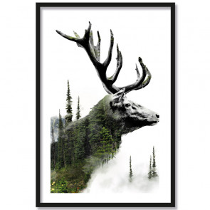 forest deer poster hirschkopf wald
