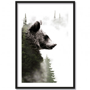 forest bear poster bär wald