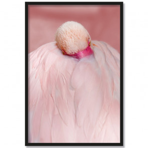 Poster Sleepy Flamingo