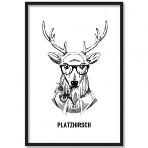 Poster Platzhirsch