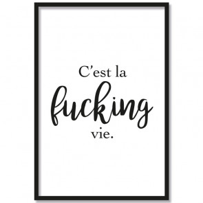 Poster C'est la fucking vie.