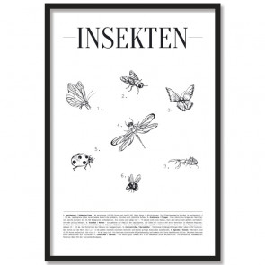 Poster Insekten