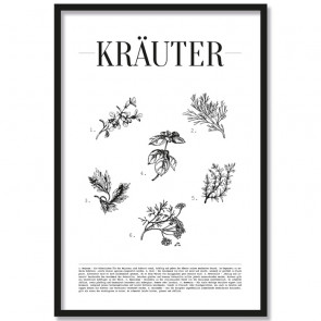 Poster Kräuter