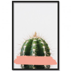Poster Kaktus Rosa