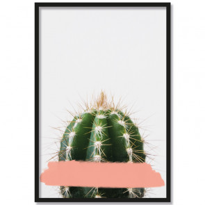Poster Kaktus Rosa