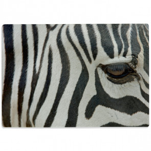 Glasschneidebrett Zebraauge