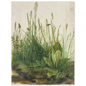 Poster Albrecht Dürer - Das große Rasenstück
