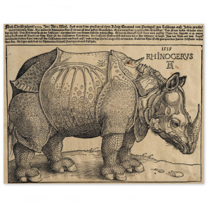 Poster Albrecht Dürer - Rhinocerus, Nashorn