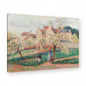 blühende Pflaumenbäume von Camille Pissarro als Leinwandbild