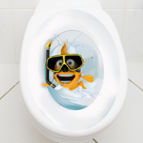 WC Aufkleber Goldfisch Taucherbrille