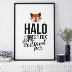 halo i bims 1 fux poster