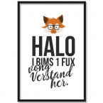 halo i bims 1 fux poster