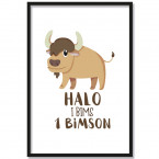 halo i bims 1 bimson poster