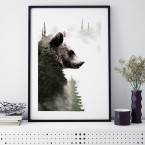 forest bear poster bär wald