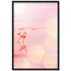 Poster Flamingo in Natur