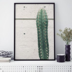 Poster Kaktus vor Beton