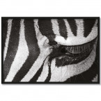 Poster Zebra Eye