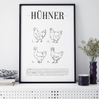 Poster Hühner Arten