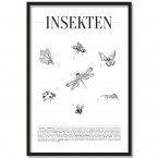 Poster Insekten