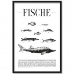 Poster Fische