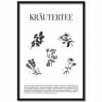 Poster Kräutertee