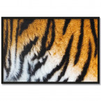 Poster Tiger 