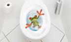 WC Aufkleber crazy Frosch