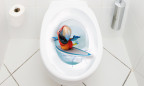 WC Aufkleber Papagei Surfer