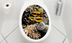 WC Aufkleber Schwarz-Gelbe Fische