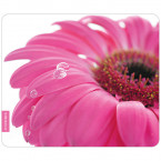 Mousepad Gerbera